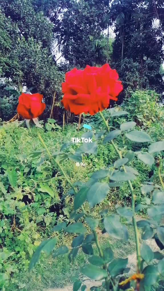 @_arohi_653