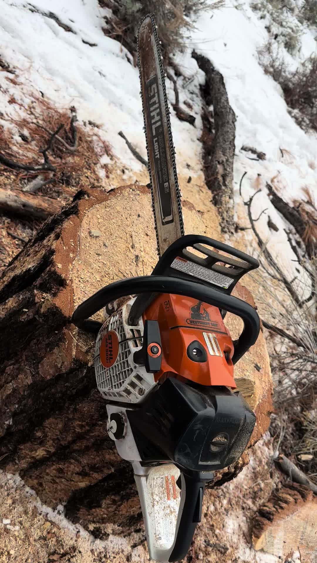 @CedarLightsFirewood