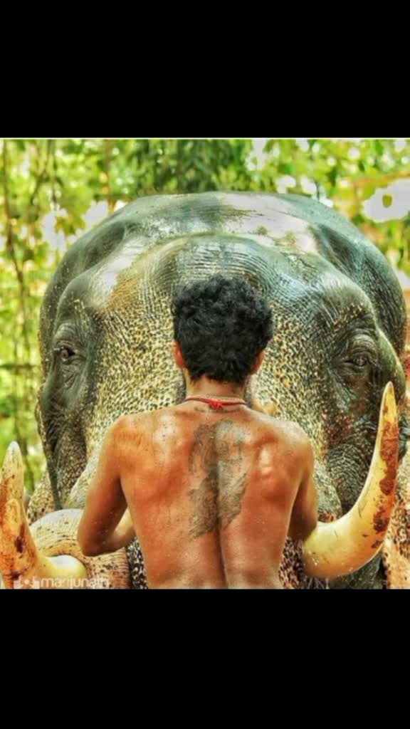 @കൊമ്പൻ