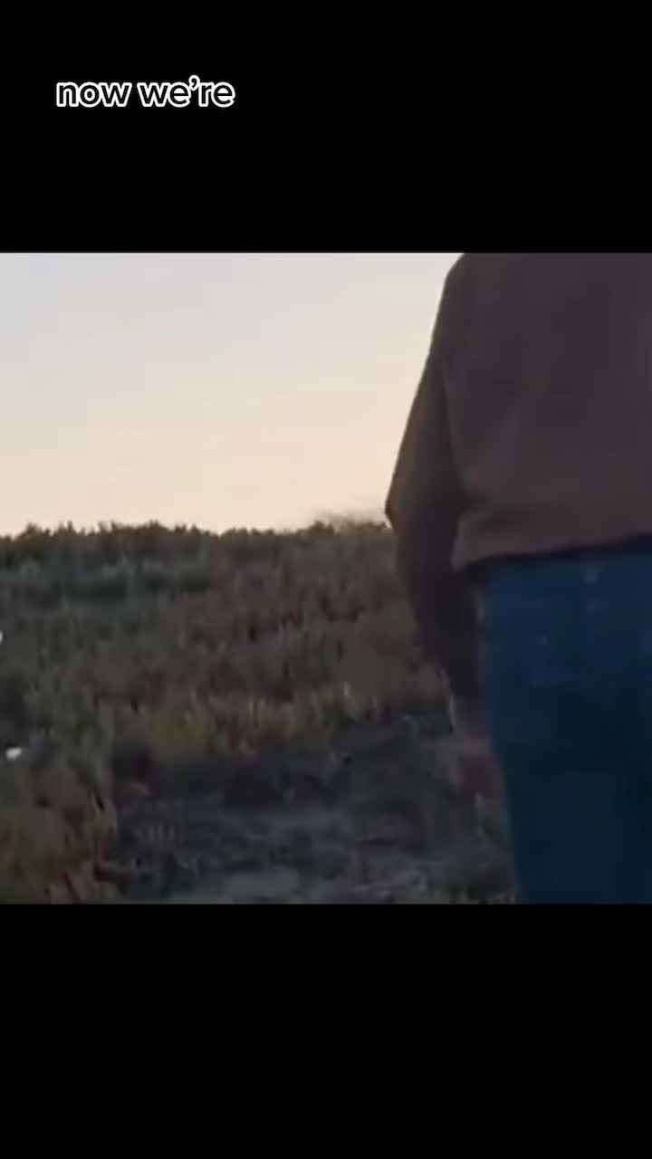 @<