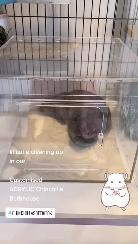 @Craftniversesg