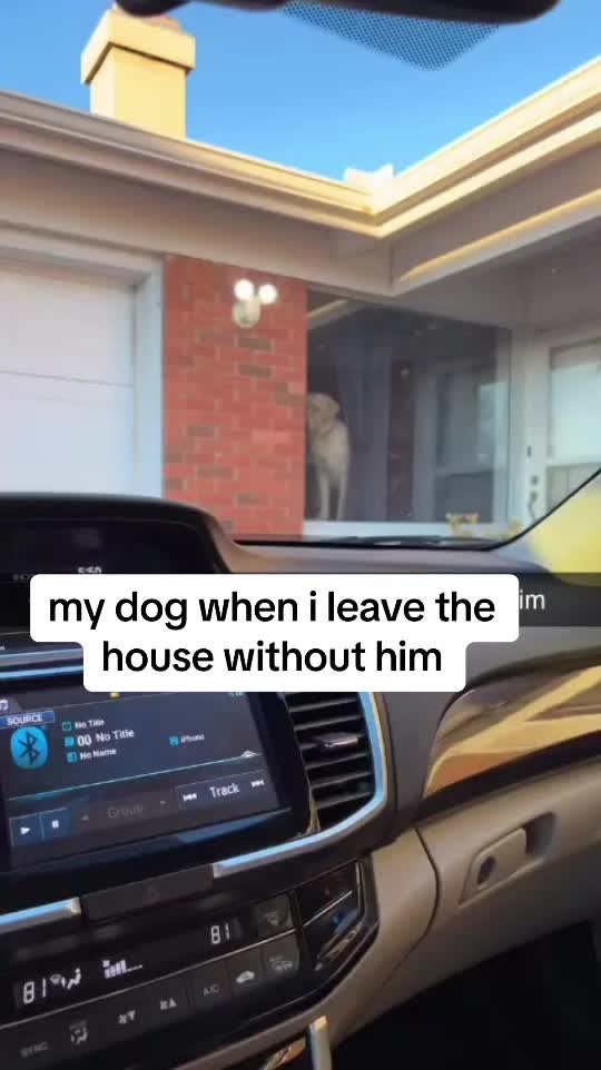 @Scout and Benn