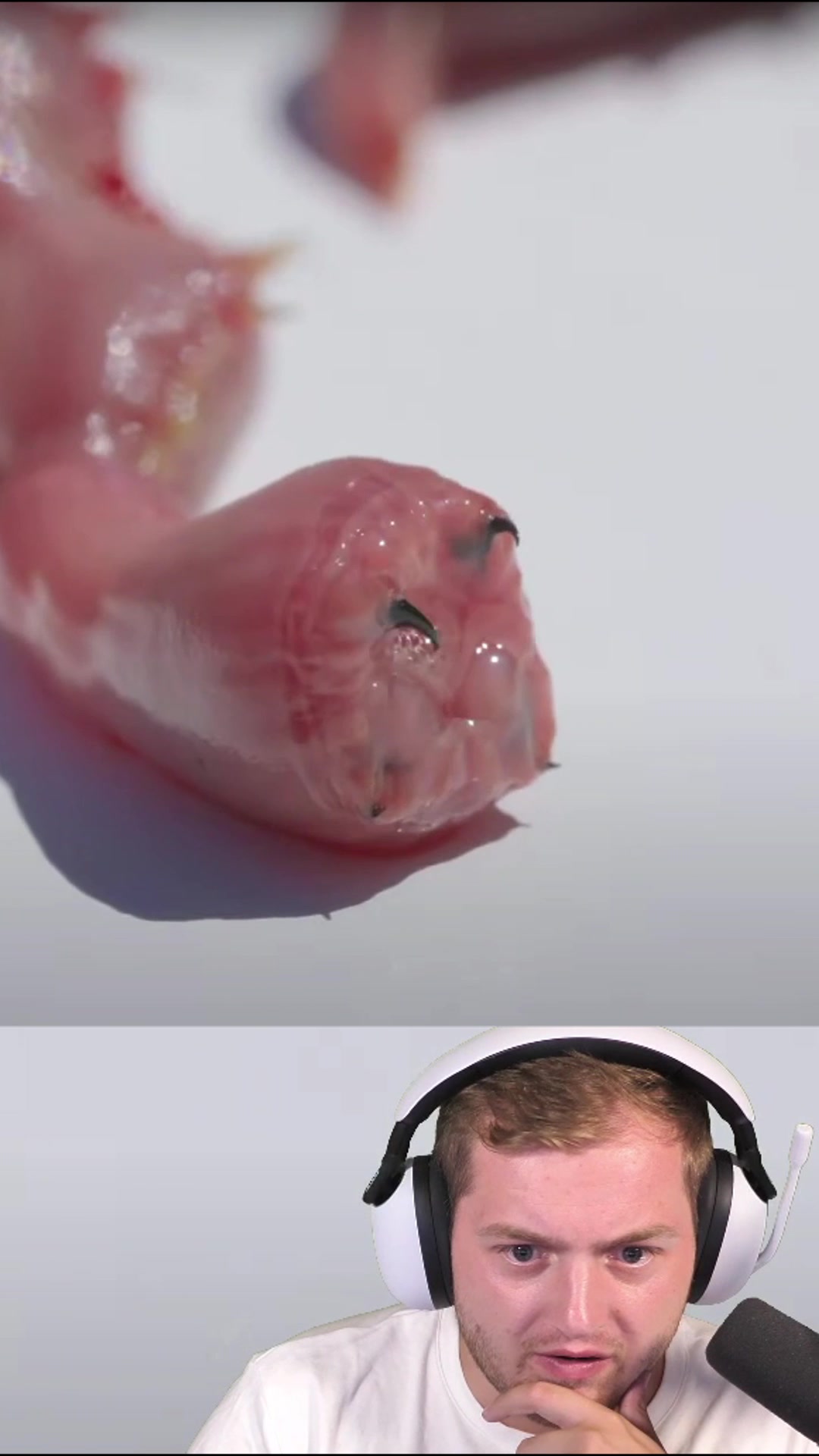 @Trymacs
