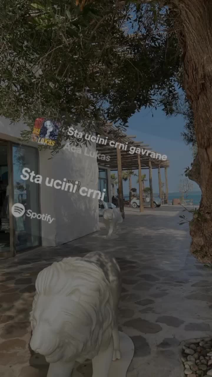 @🪩🩵🧊