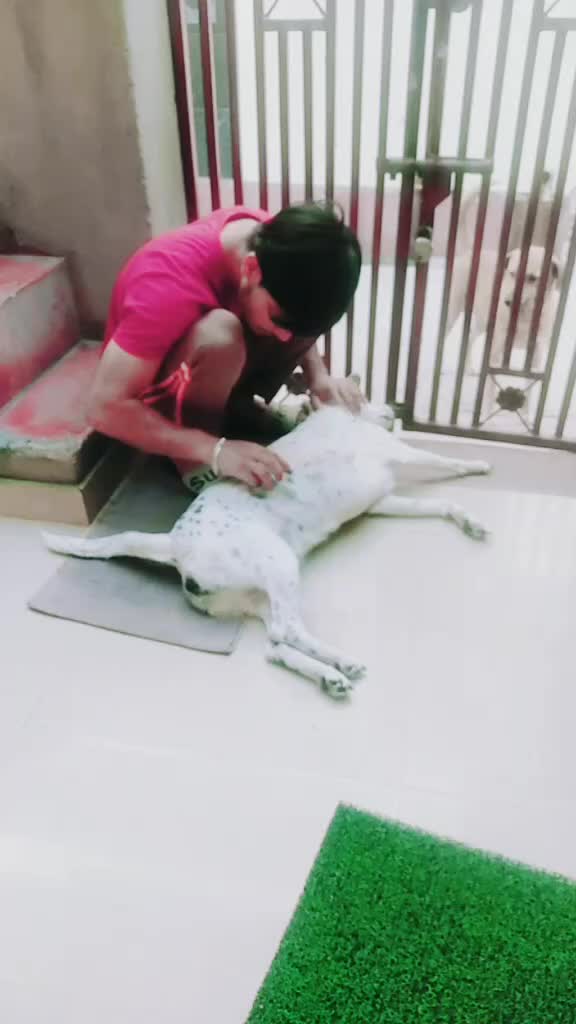 @nikhil kataria