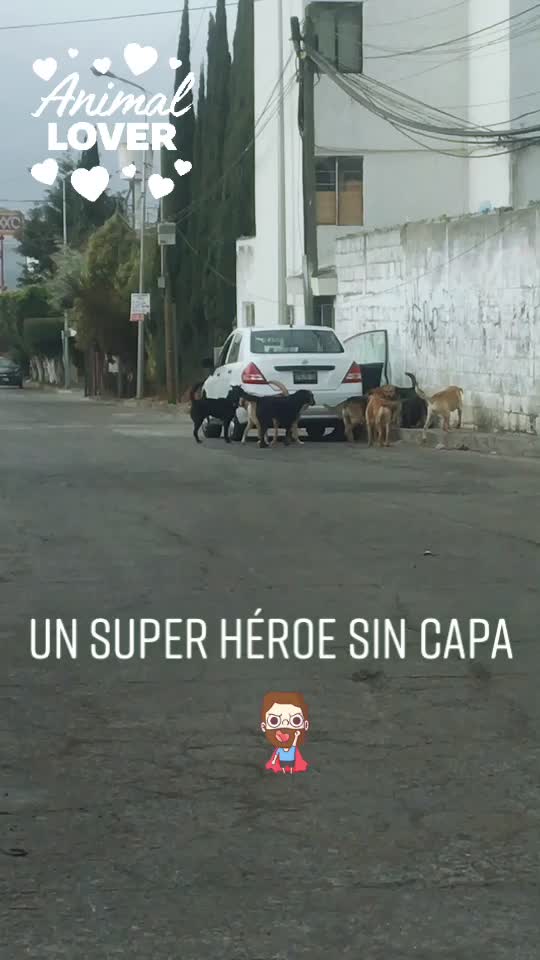 @Minerva Edith S