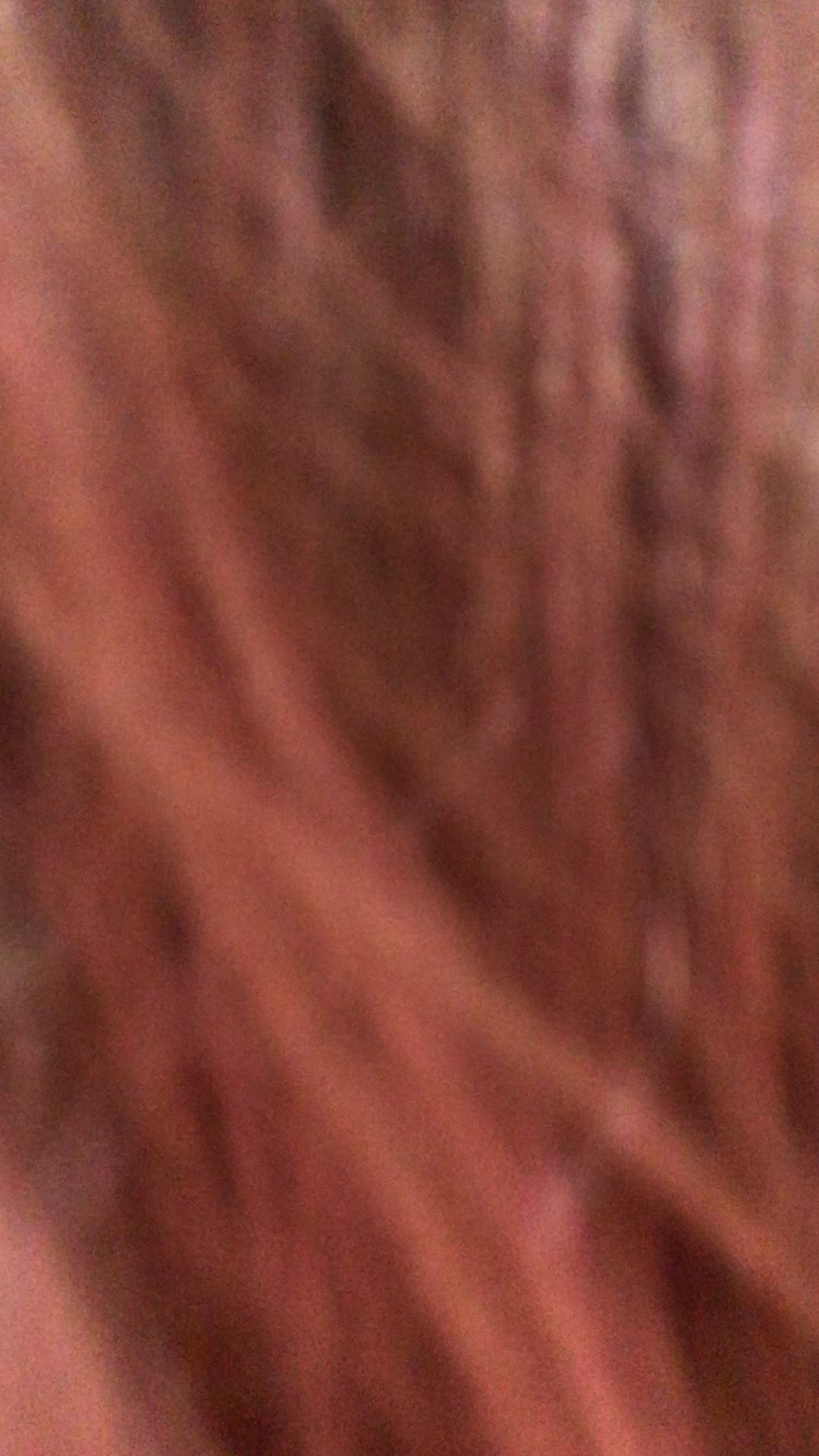 @yasmin.torquato