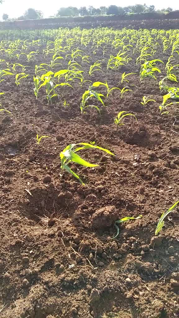 @💓&hearts;️ಅಚ್ಚು ರಚ್ಚು&hearts;️💓