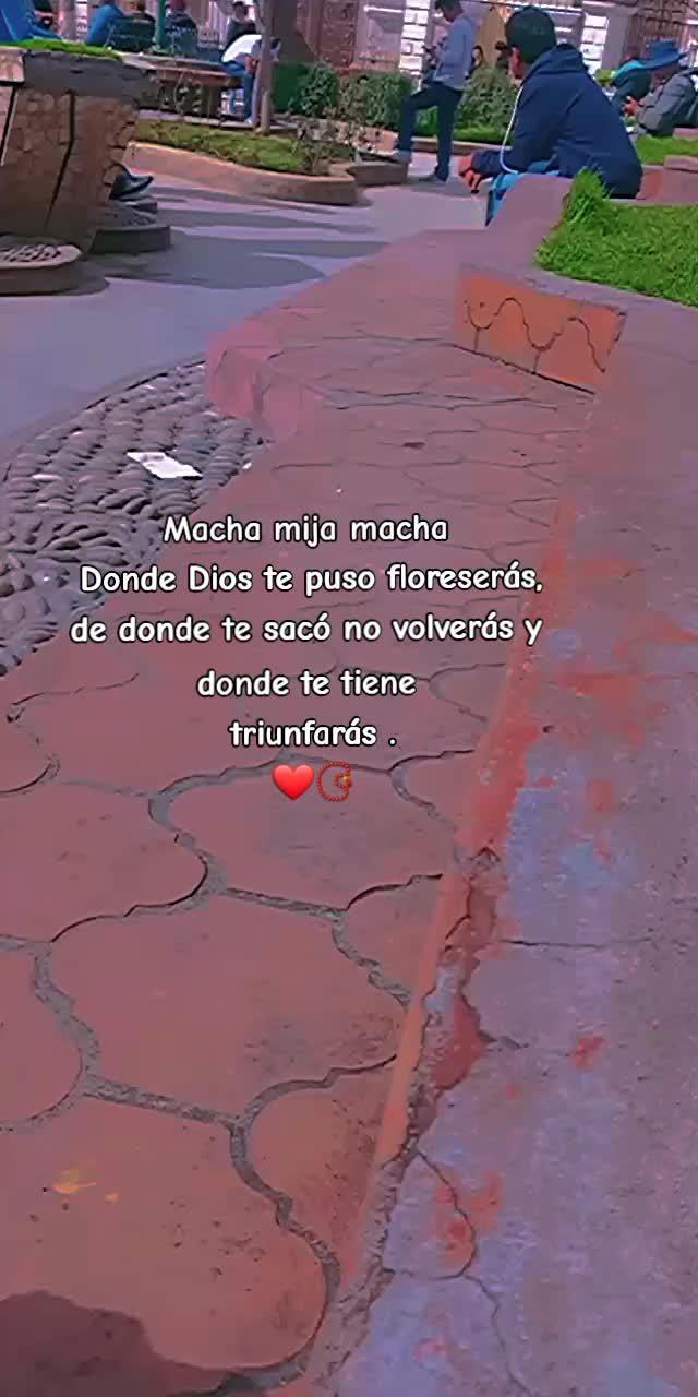 @Lety 💚🦋