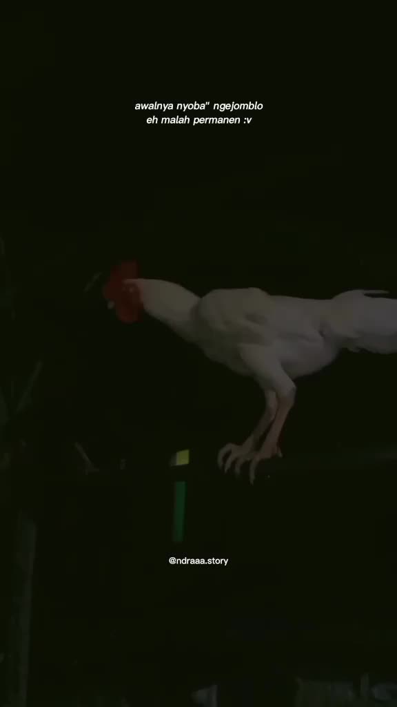 @๐น๐๐๐