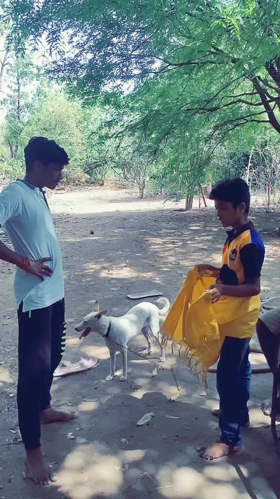 @Saravanan Sds