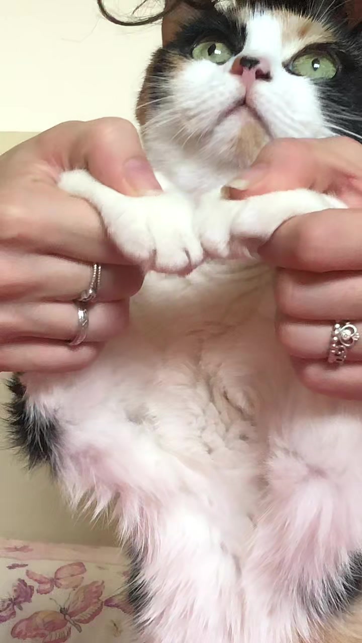 @ᡕᠵ᠊ᡃ່࡚ࠢ࠘ ⸝່ࠡࠣ᠊߯᠆ࠣ࠘ᡁࠣ࠘ <3