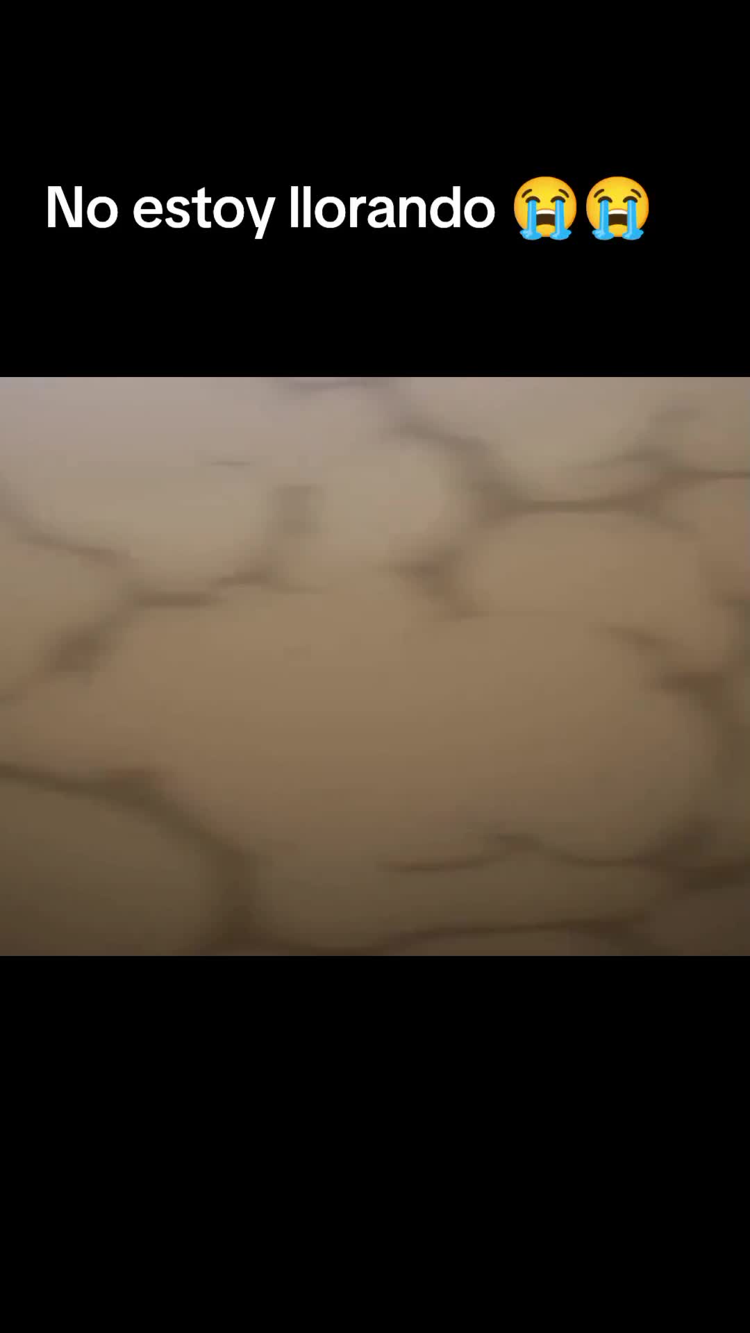 @➷ʟᴇʙᴀꜱɪ?ツ