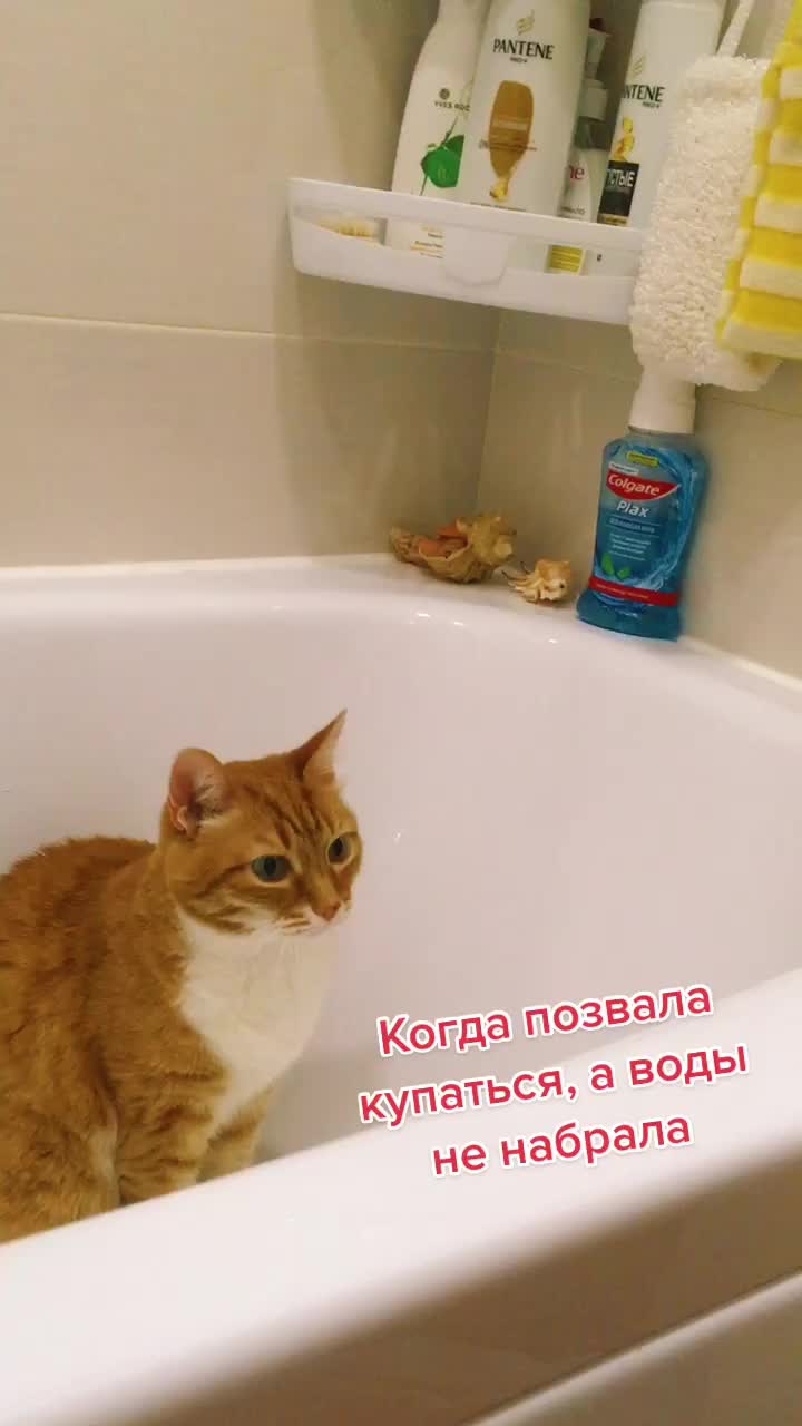 @Татьяна