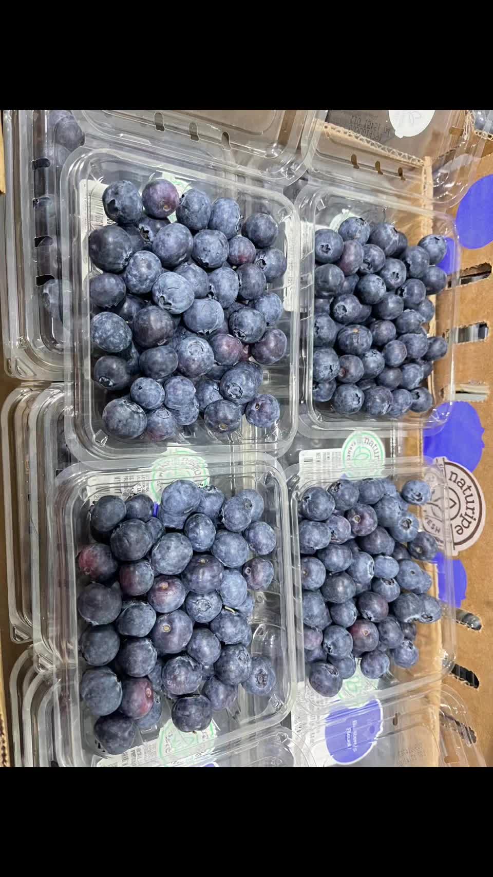 @Transfruits
