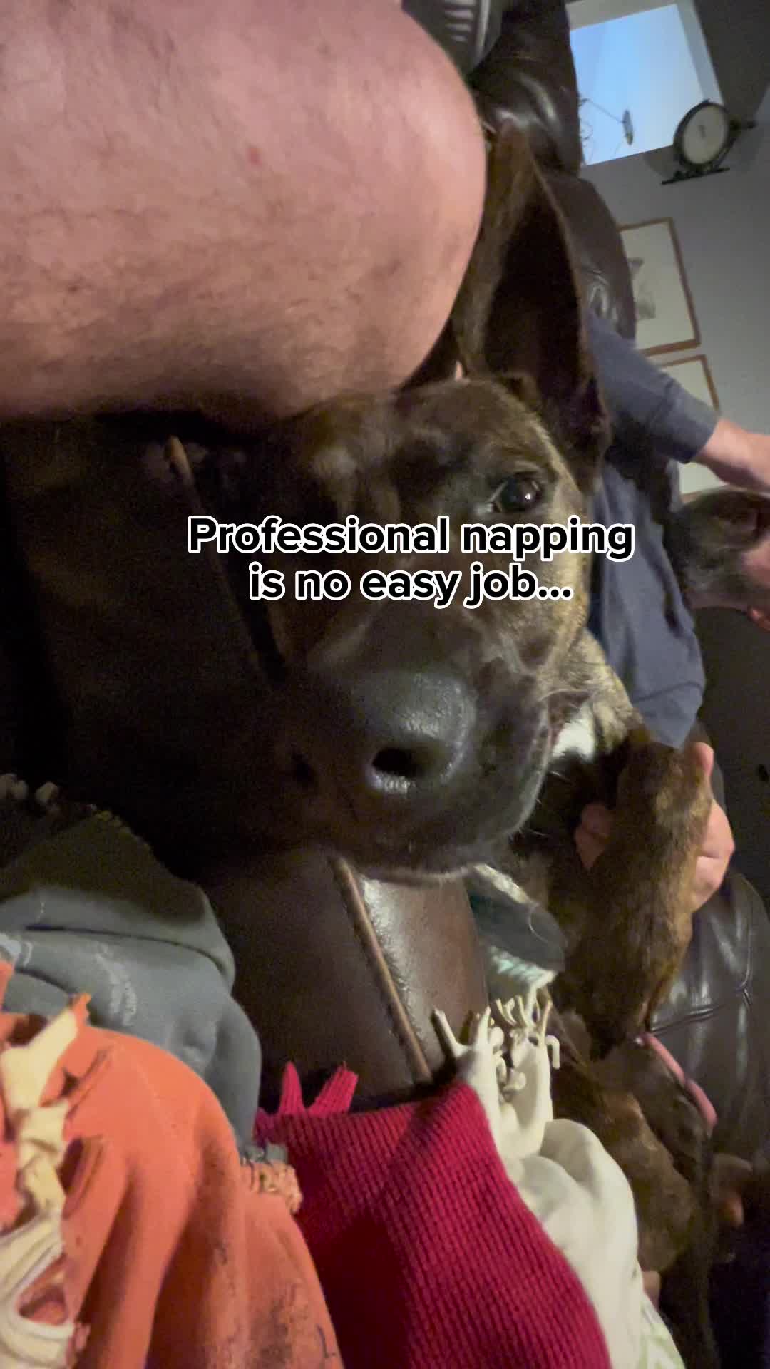 @Bea