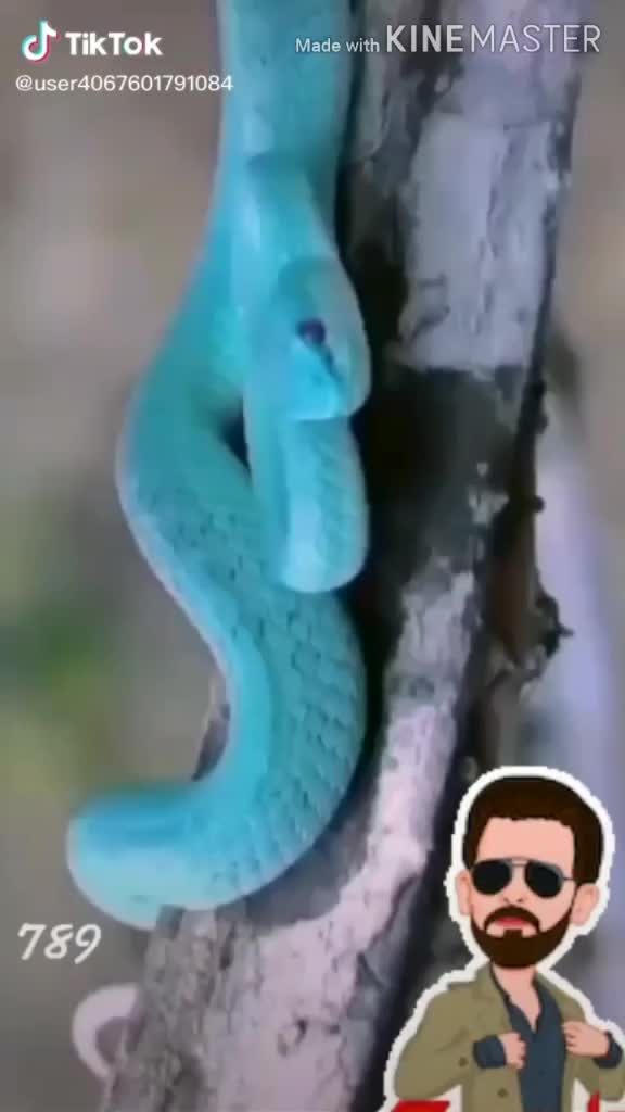 @Chandufransuss