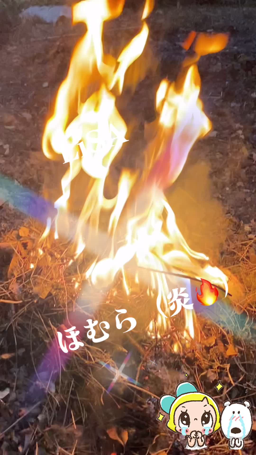 @KAZUïŒã«ãº ïŒð