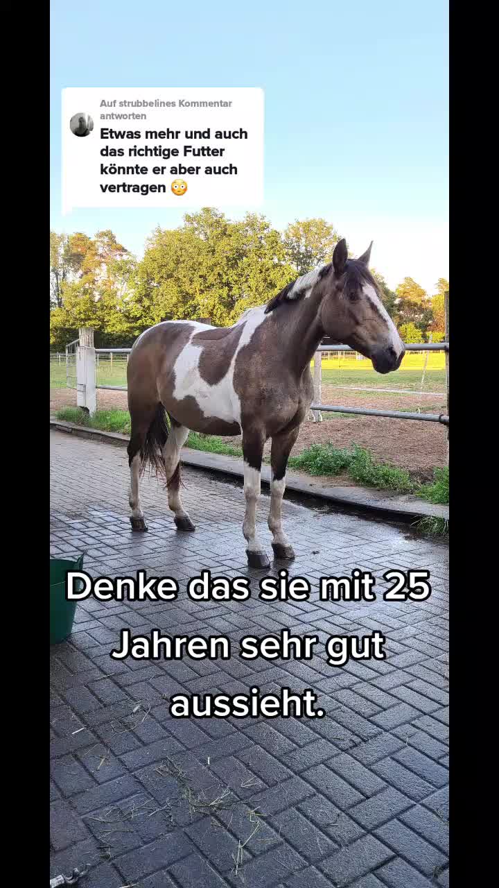 @@steffi_bonsai