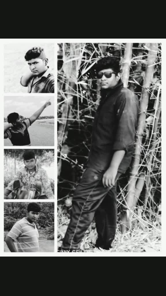 @user519964454