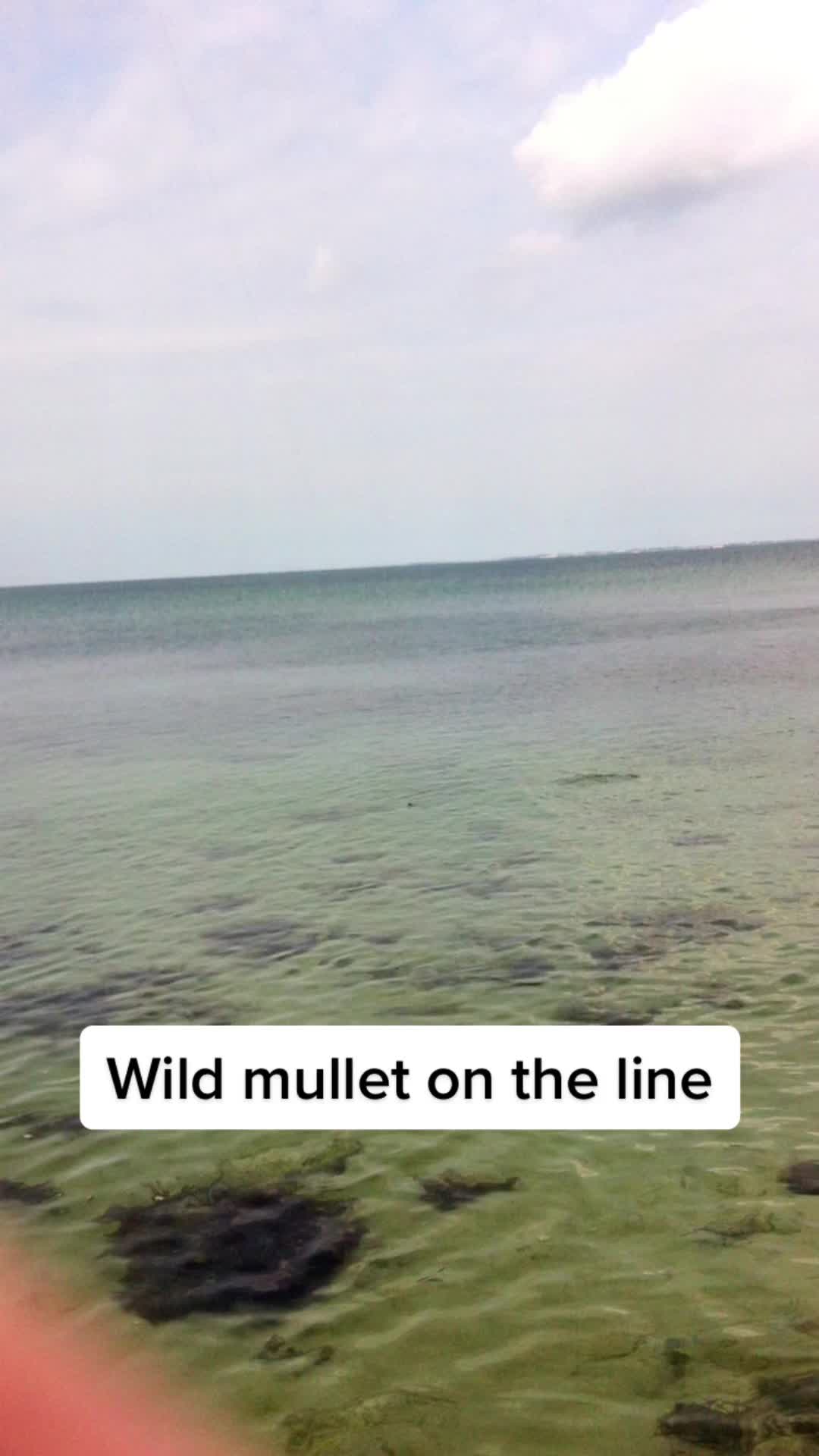 @FishingBySalling - Anders