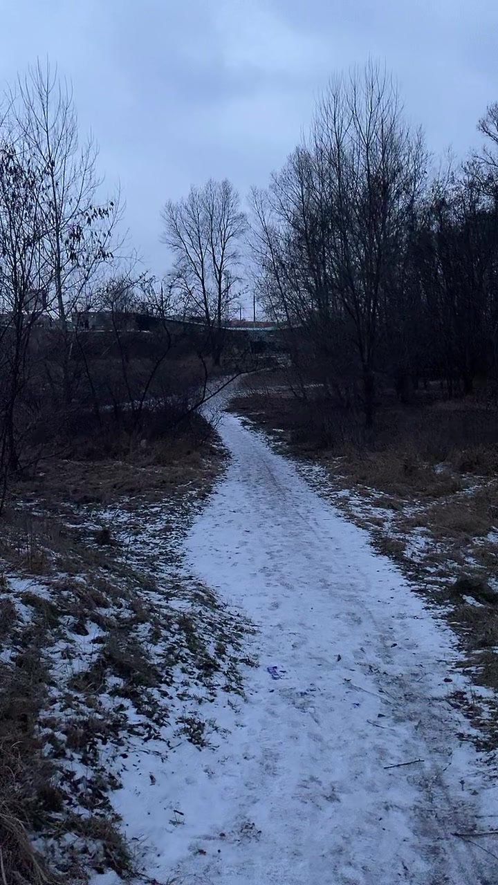 @shoskazall