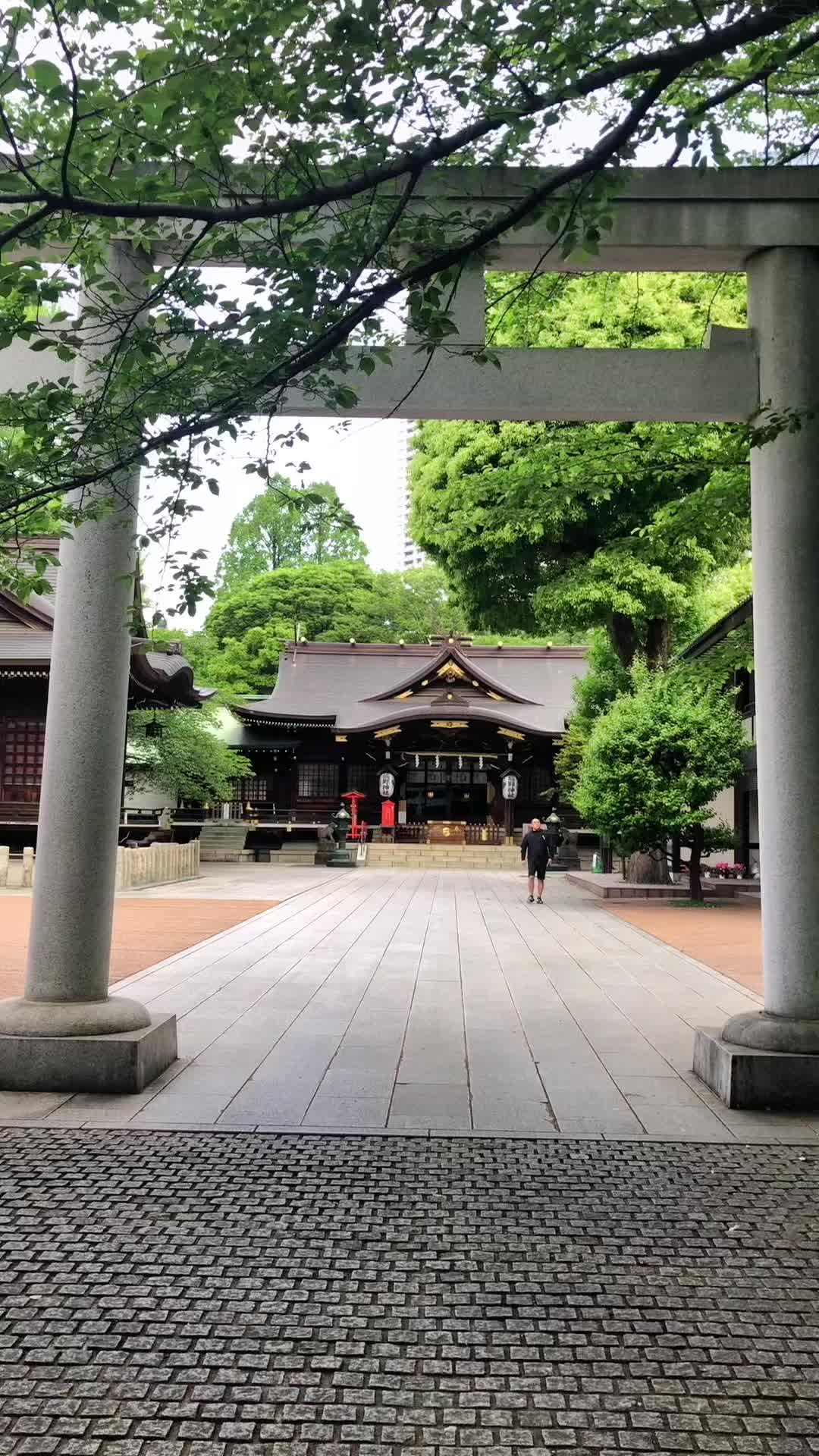 @DAN0008☝️MAHITO☝️サブ☝️