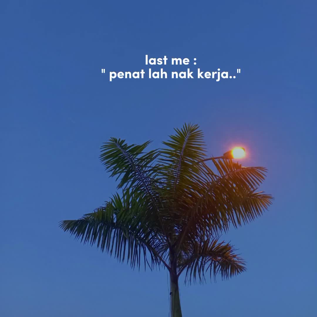 @Bella
