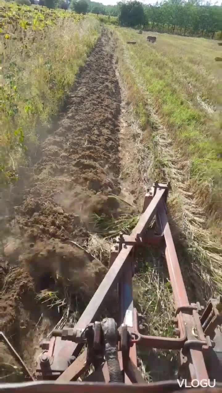 @ionuț ciurlin