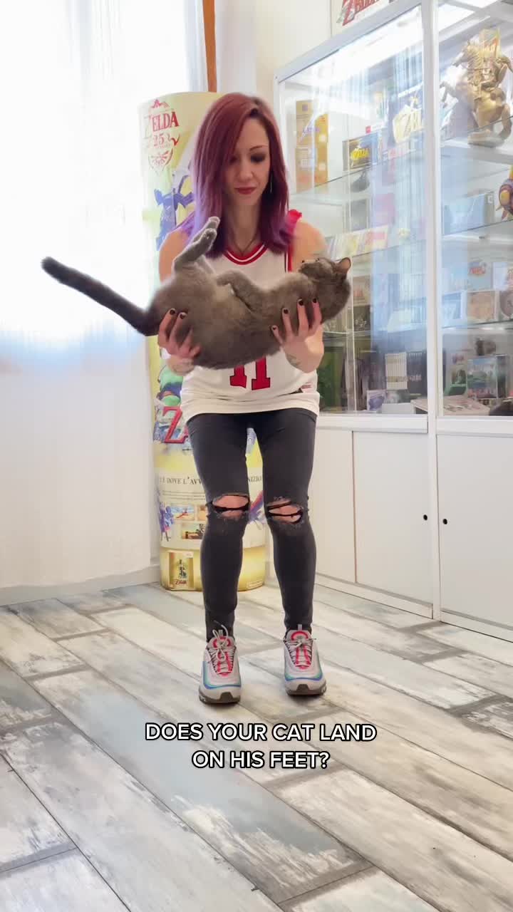 @DynamicFrankie