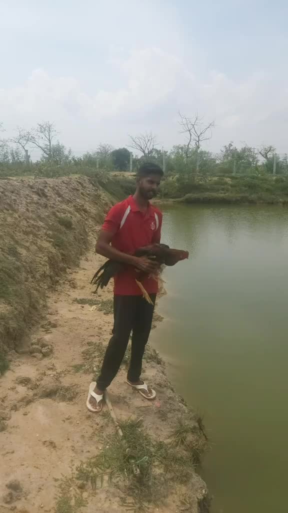 @user5047011677352