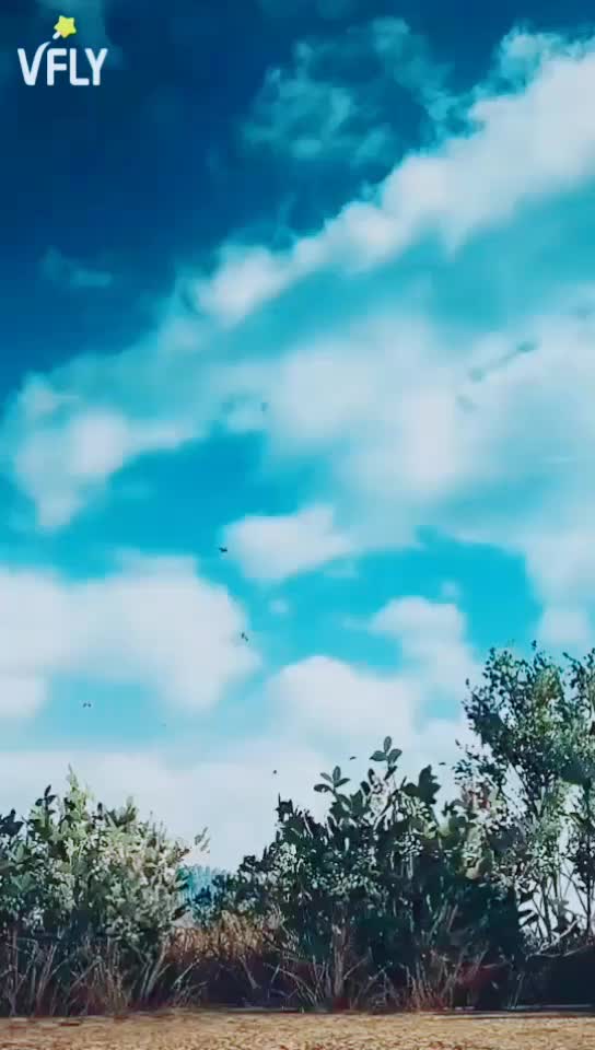 @s_a_n_i_l m_o_n p_o_