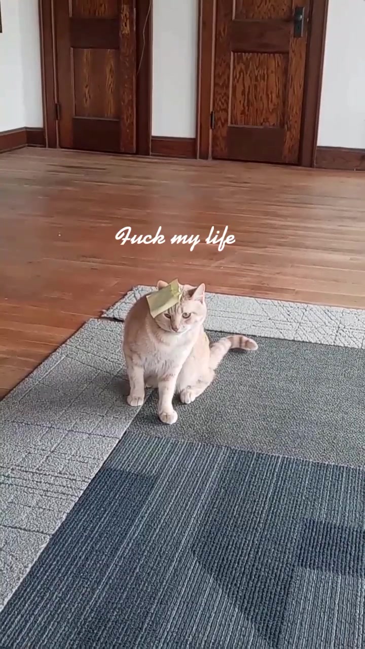 @andie420