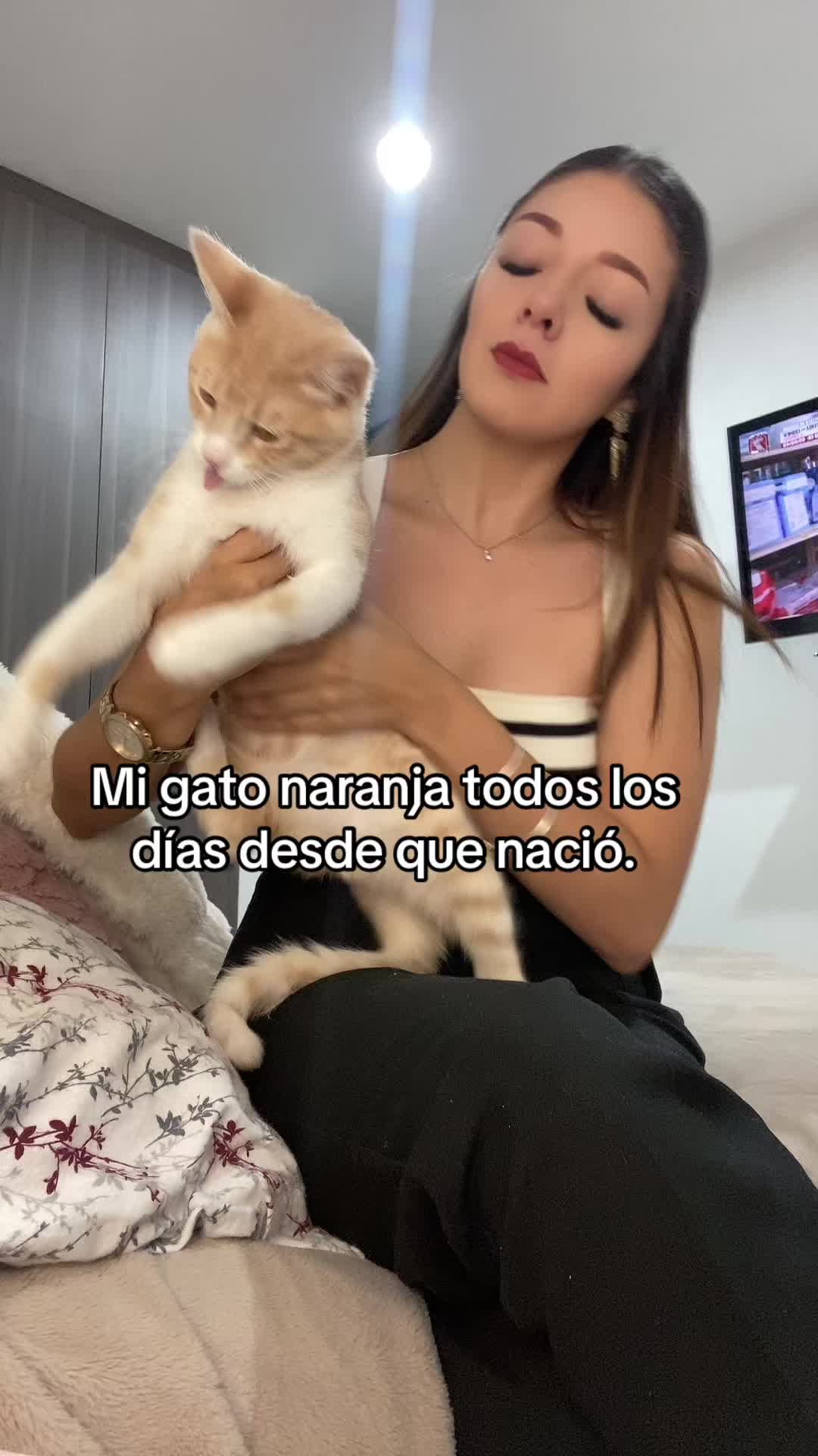 @Montglez