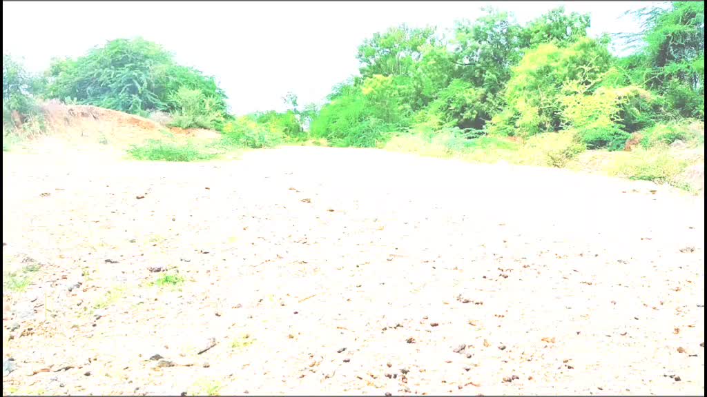 @sbilla1