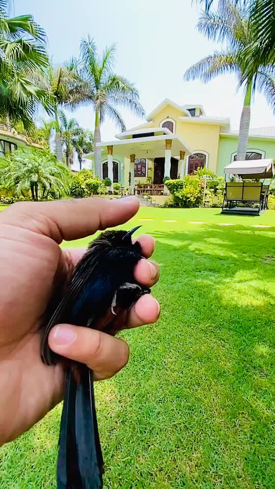 @jasdip paras