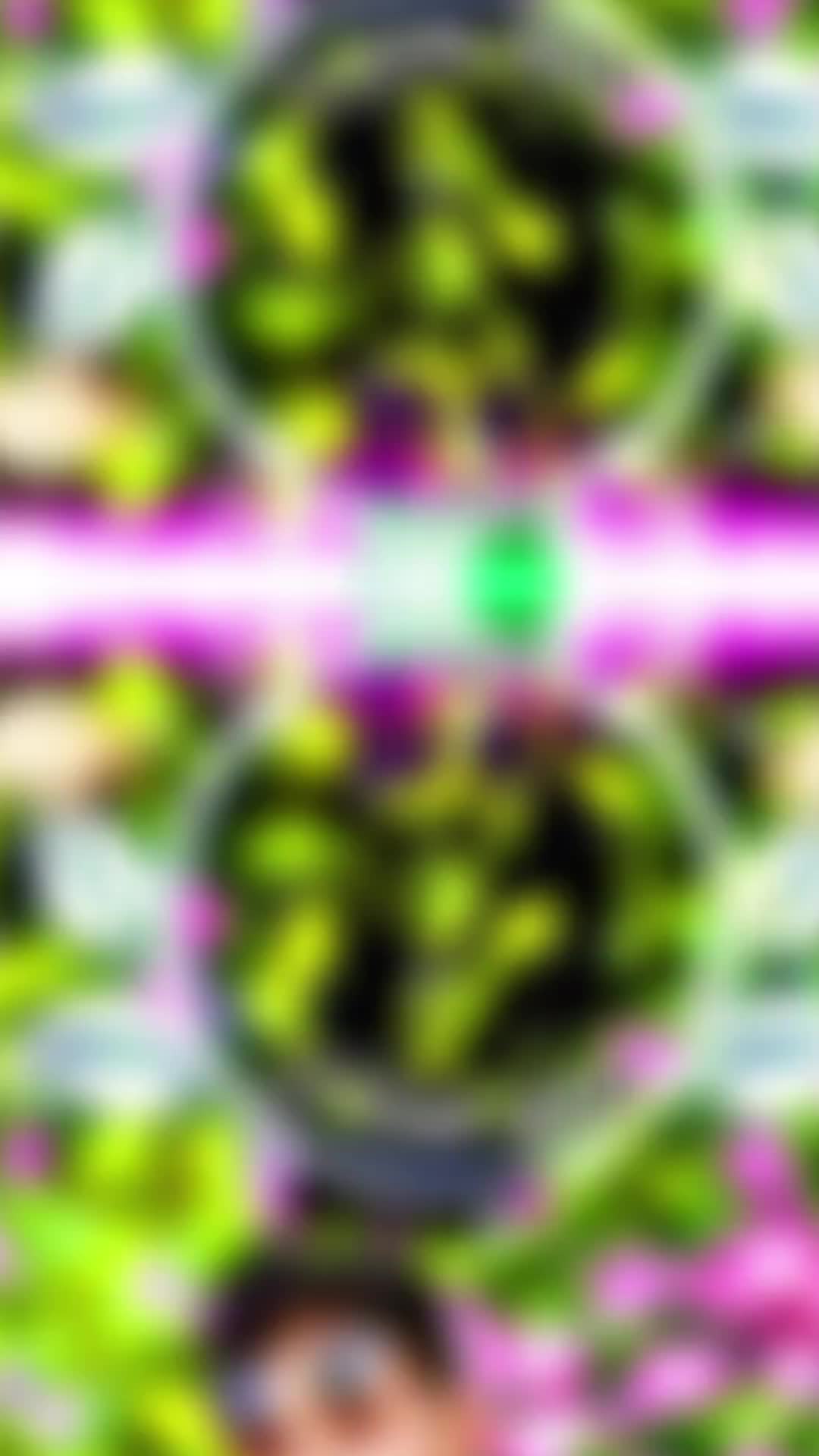 @๐งโ๐ดโ๐พโ๐ป๐ช๐ผ๐ฌ๐ช๐ต 2