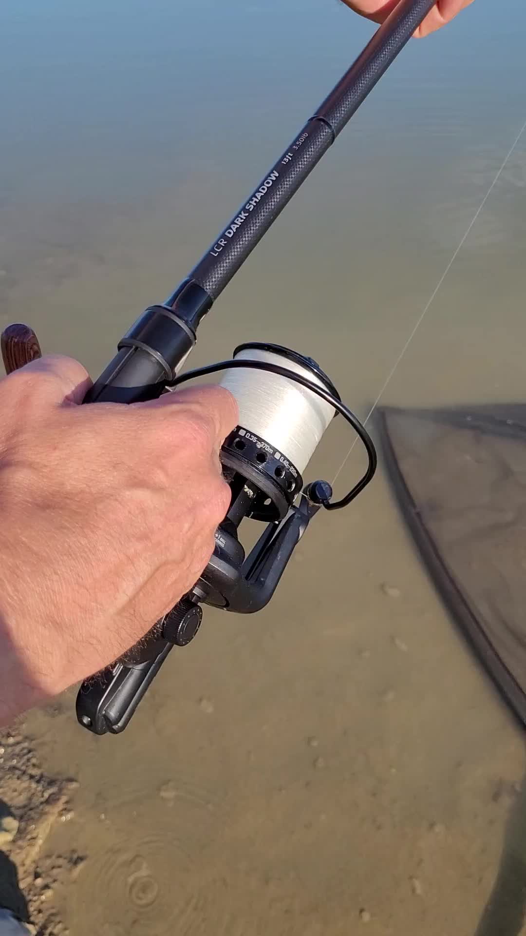 @Cedric_Ducere_starbaits