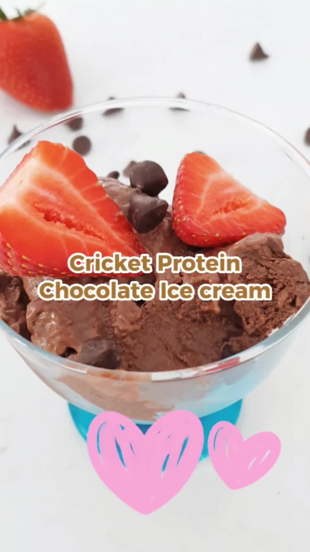 @proteincricket