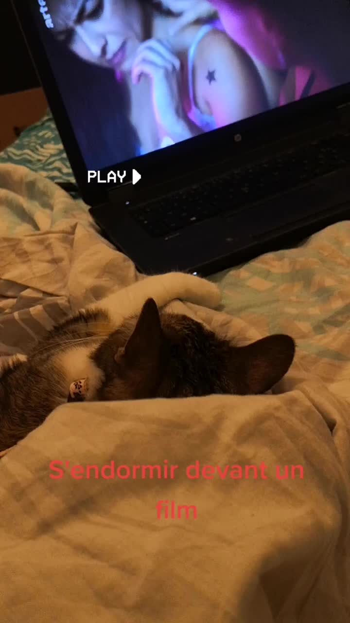 @Pêche 😺