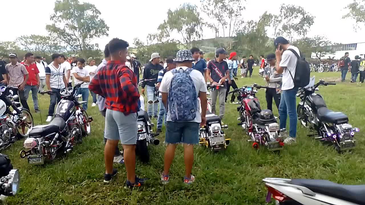 @ChapinGT502🇬🇹🇬🇹👊🐸