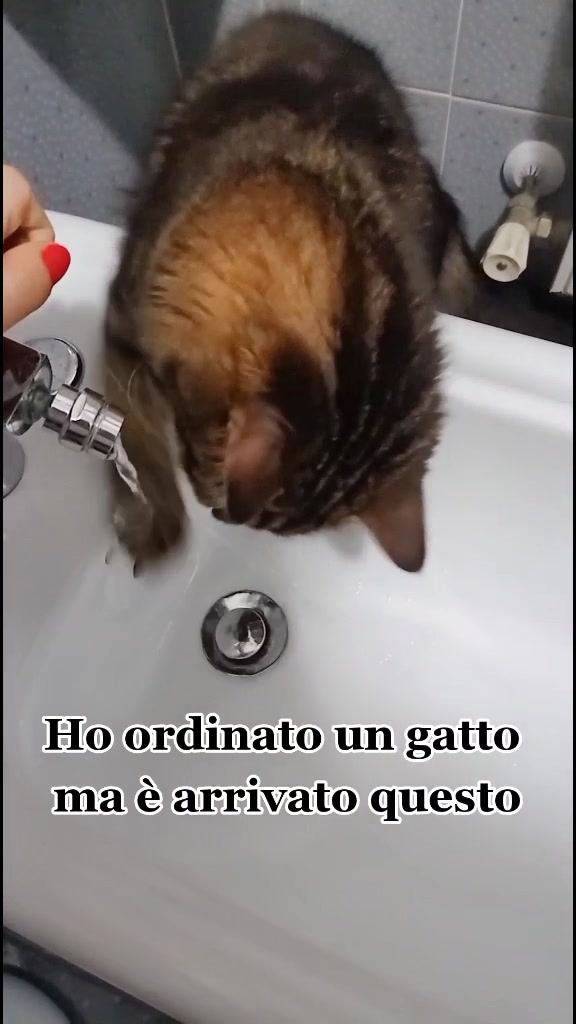 @Mary&Joy🐾❤️