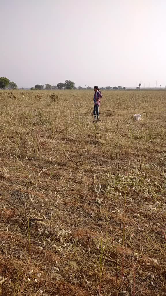 @Sai charan