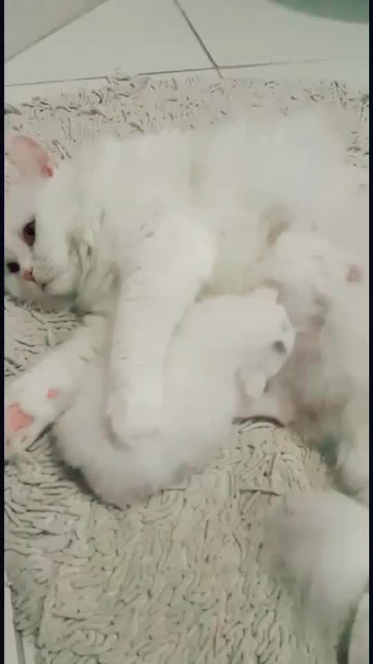 @user824401