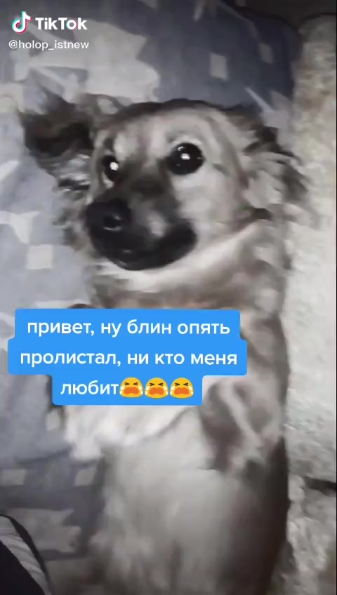 @holop_new {20к}