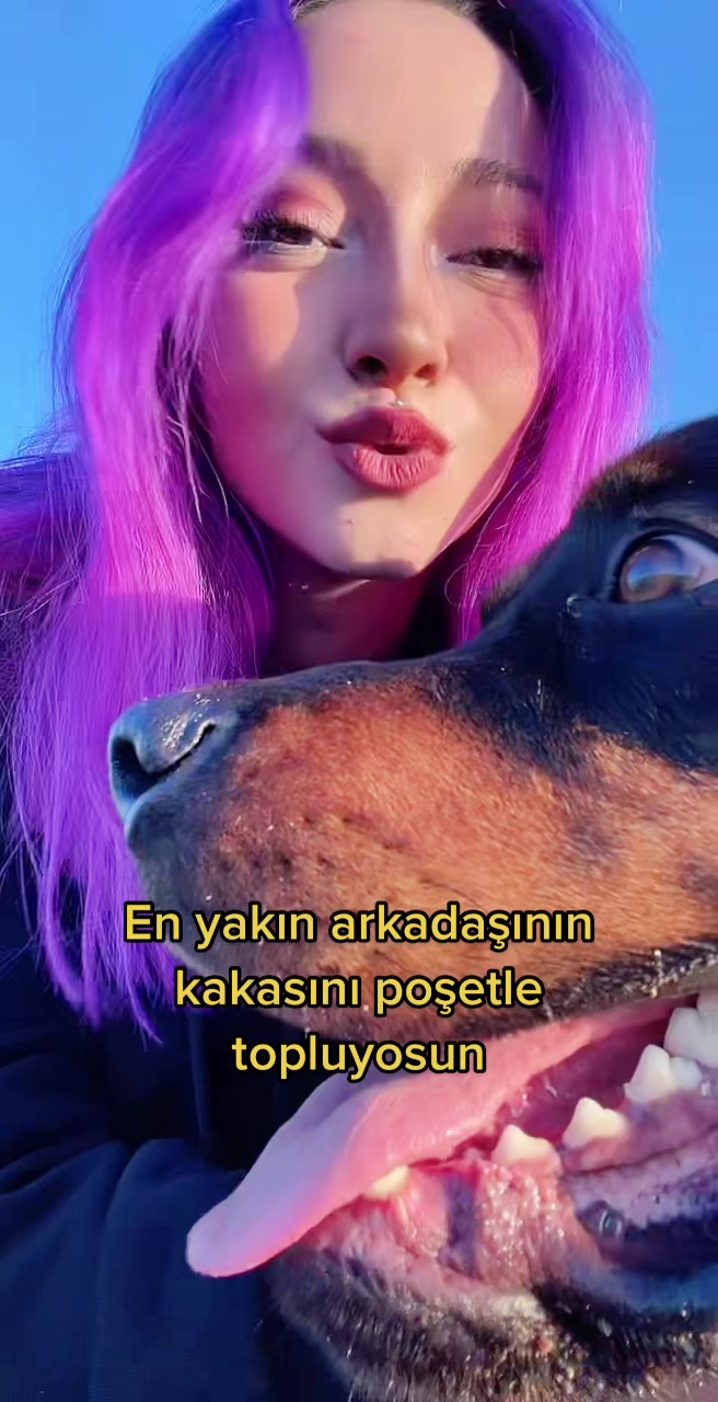 @Bimorhia