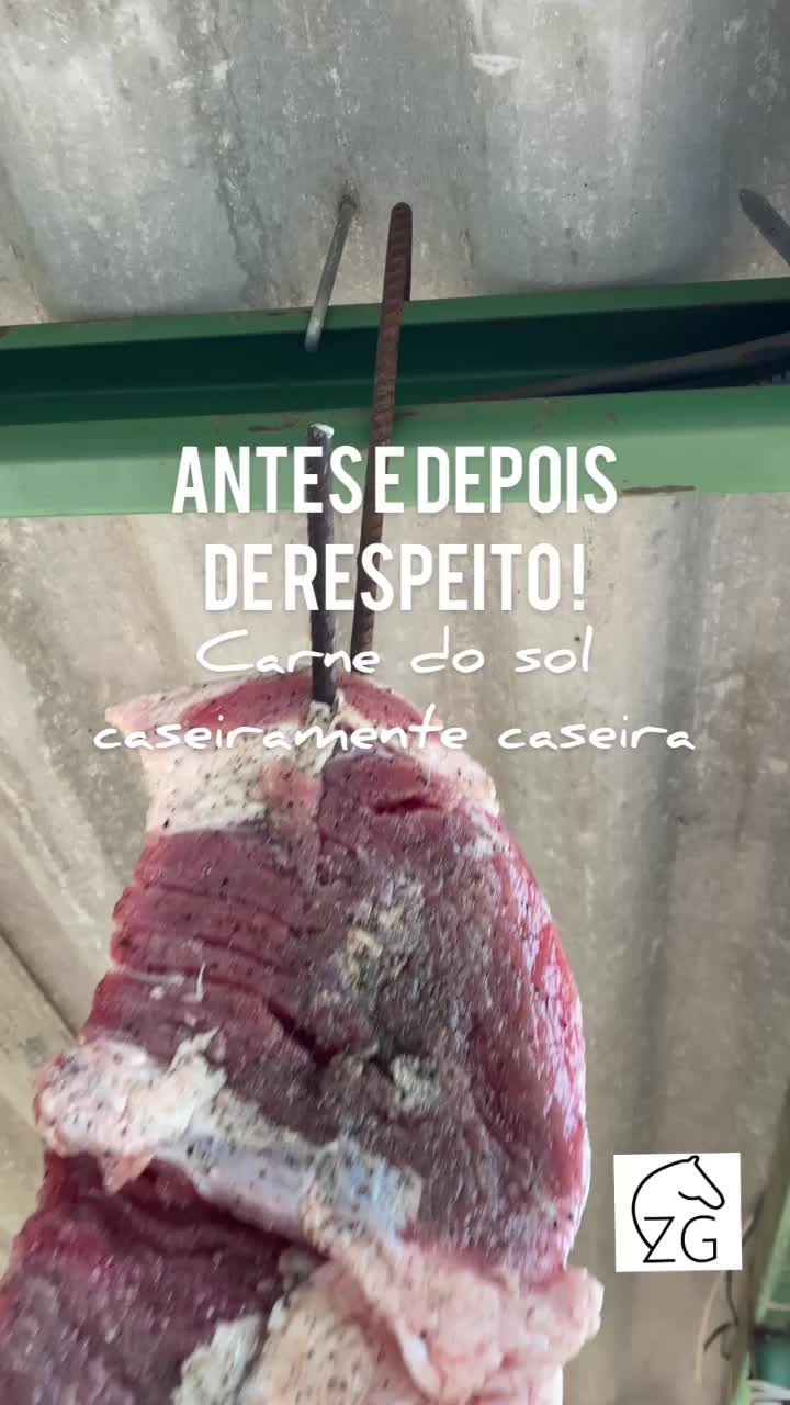 @Haras Z&eacute; Galego