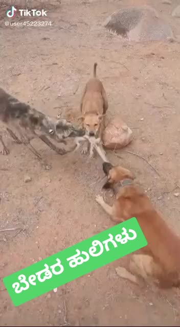 @Manju Nayaka