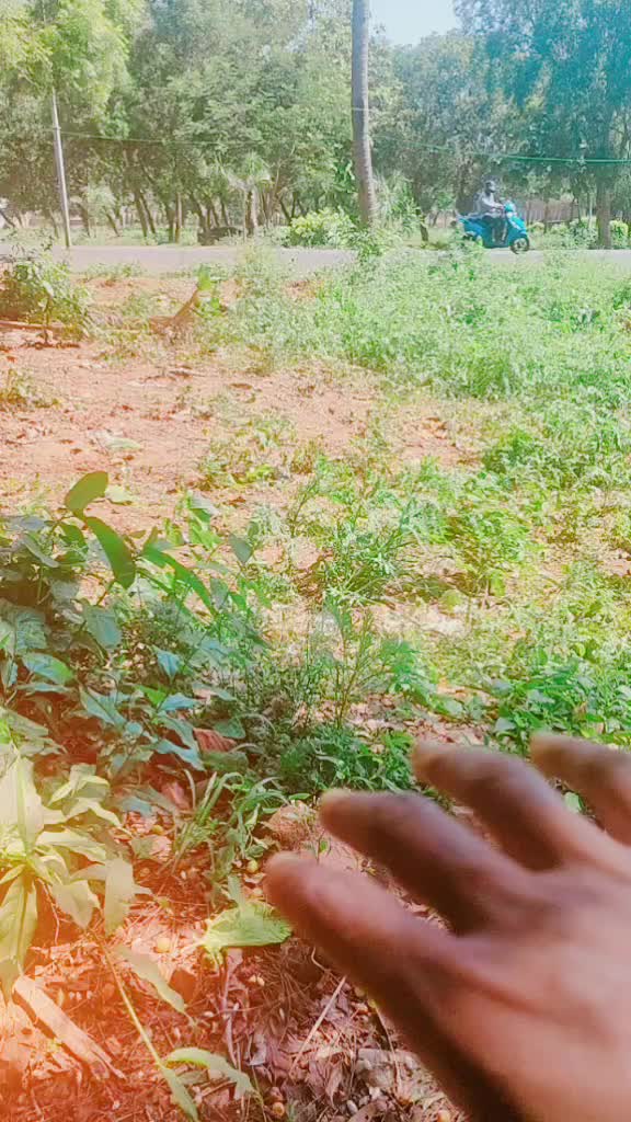 @user7135712576412