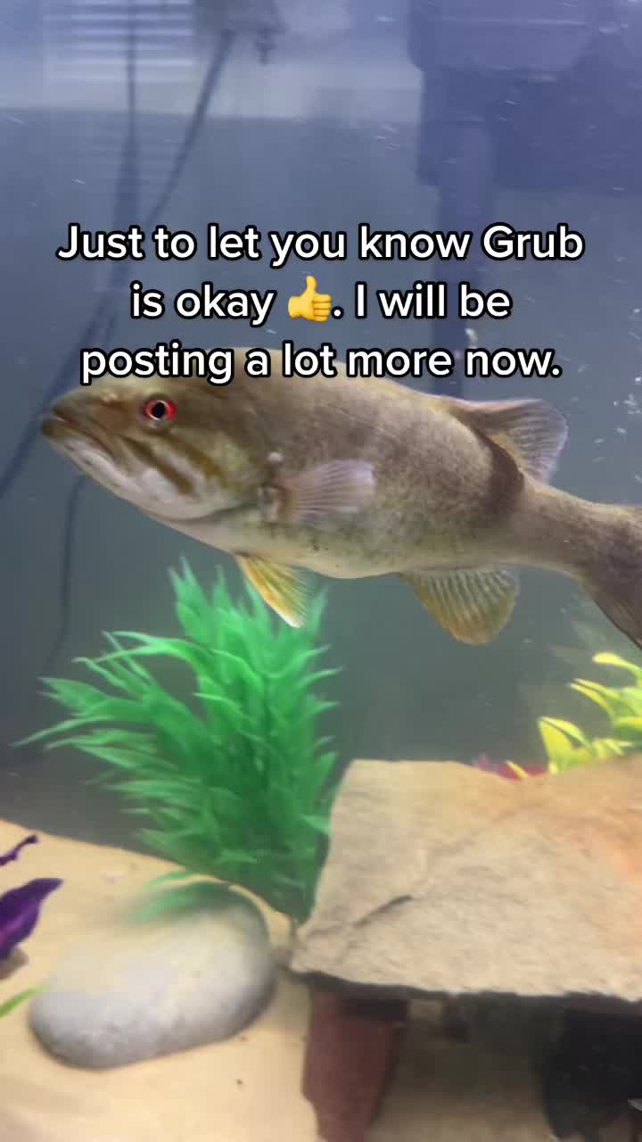 @Grub_the_bass